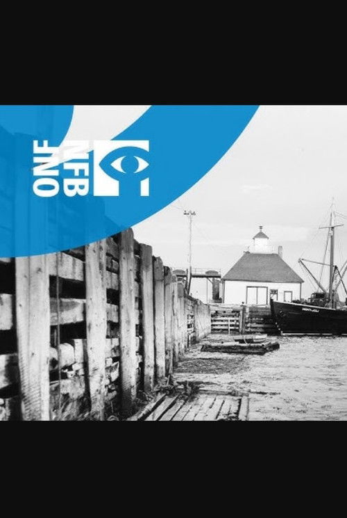 North Shore (1949) poster