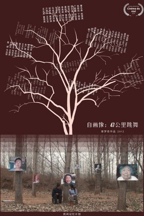 Self-Portrait: Dancing at 47KM (2013) poster