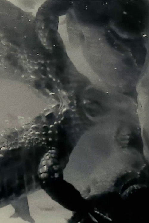 3 Songs for Saturn (2021) poster