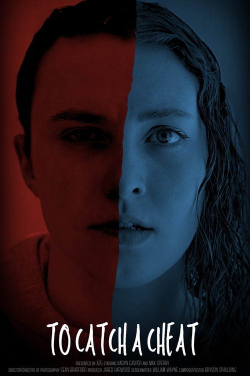 To Catch a Cheat (2025) poster