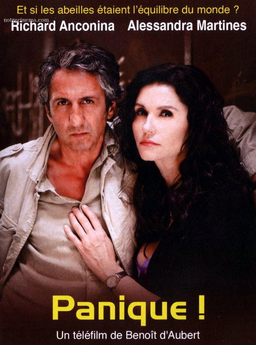Panique! (2009) poster
