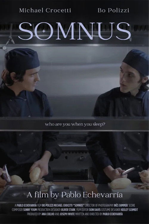 Somnus (2024) poster
