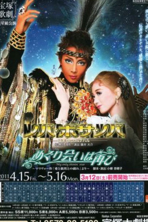 Nova Bossa Nova (2011) poster