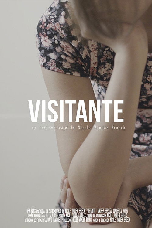 Visitante (2017) poster