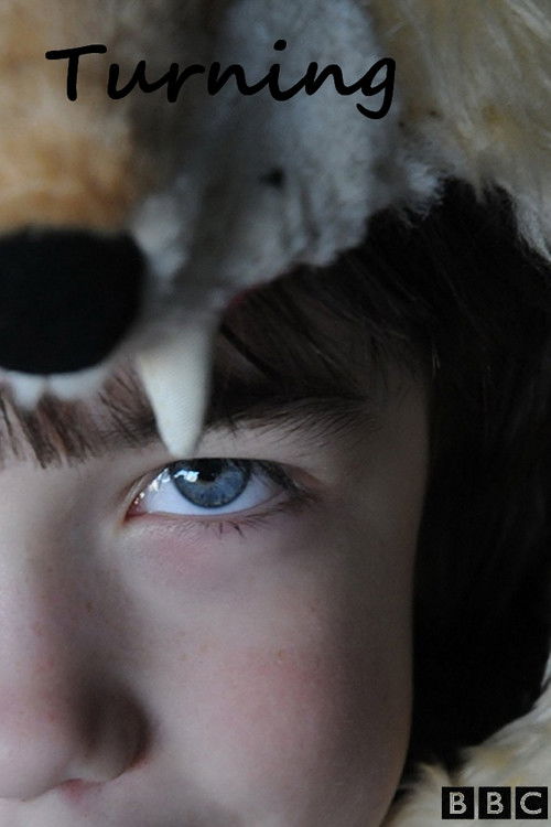 Turning (2010) poster