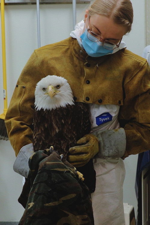 Lead it Go (2024) poster