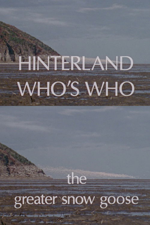 Hinterland Who's Who: The Greater Snow Goose (1978) poster