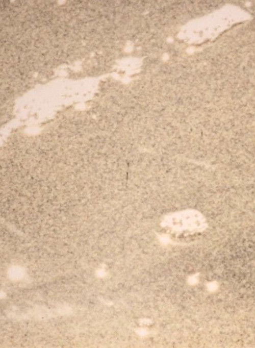 VOID (4.INABILITY) (2016) poster