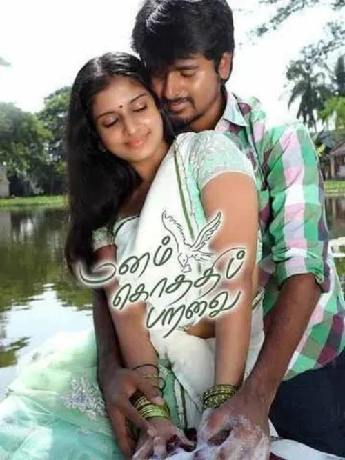 Manam Kothi Paravai (2012) poster