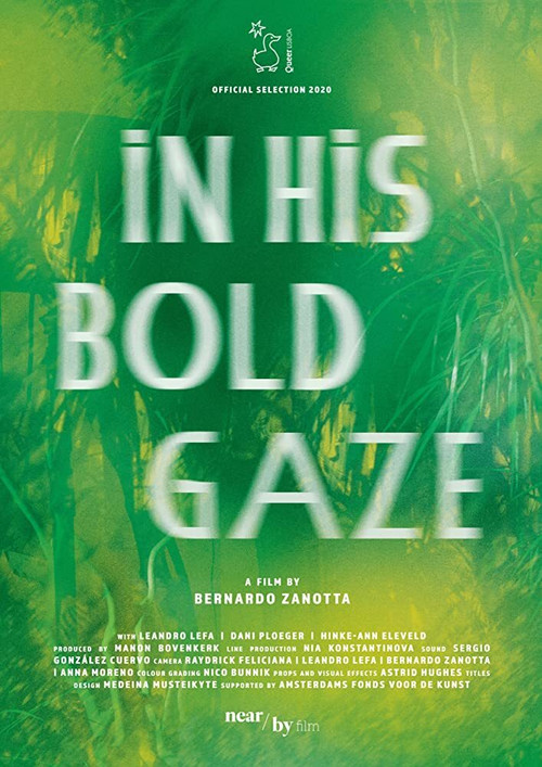 In His Bold Gaze (2020) poster