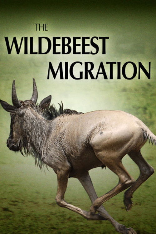 The Wildebeest Migration: Nature's Greatest Journey (2012) poster