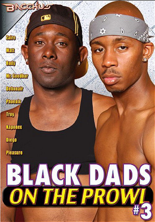 Black Dads on the Prowl 3 (2010) poster