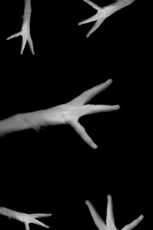 Phantom Hand (2020) poster