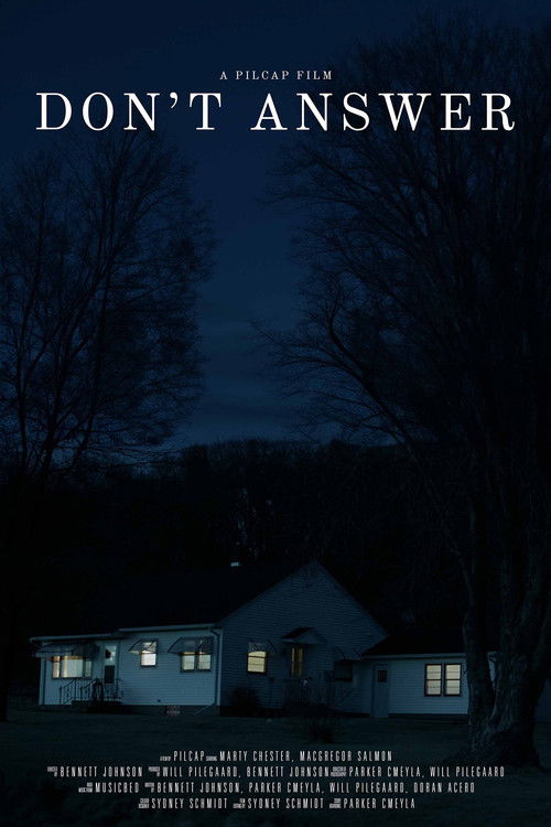 Don't Answer (2025) poster