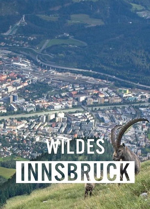 Wildes Innsbruck: Zwischen Moderne und alpiner Wildnis (2021) poster