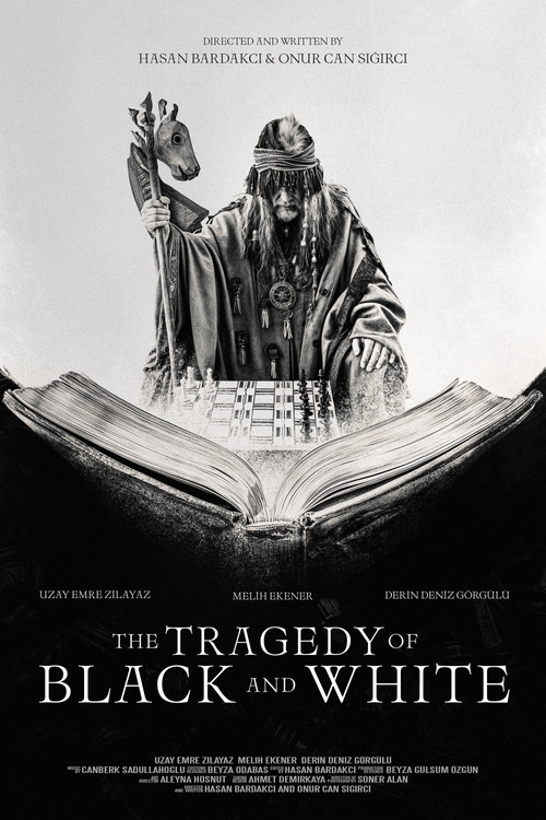 The Tragedy of Black and White (2024) poster