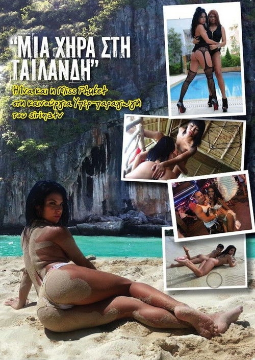 Μια χήρα στην Ταϋλάνδη (2013) poster