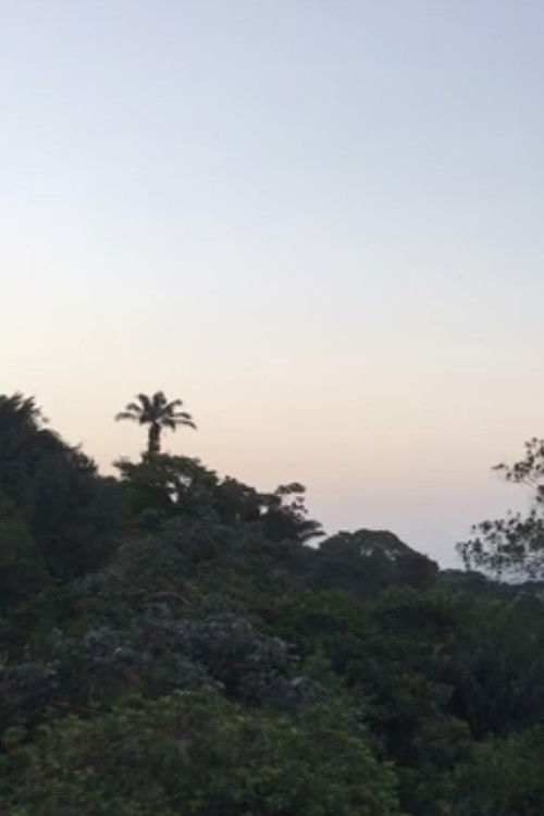 new moon love (2020) poster