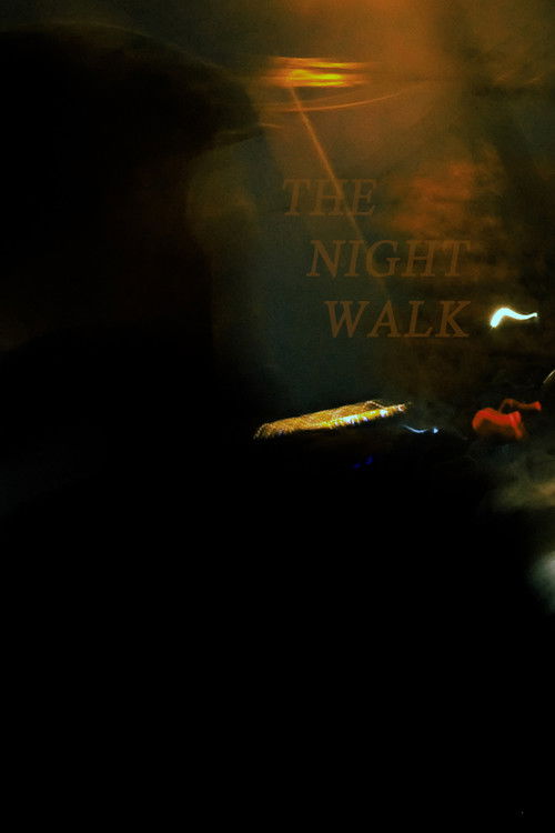 The Night Walk (2026) poster