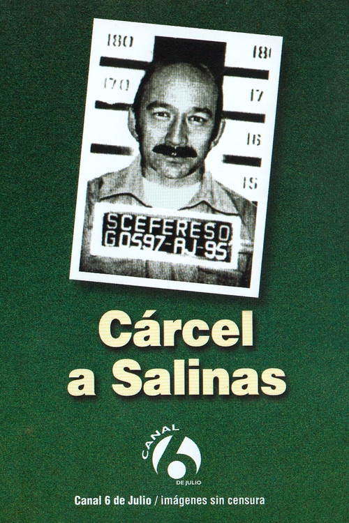 Cárcel a Salinas (1995) poster