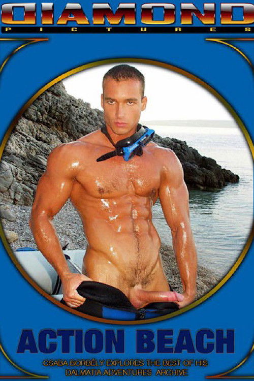 Action Beach (2011) poster