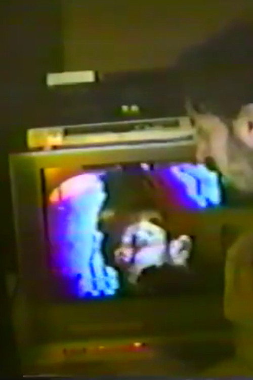 Tipping and Tapping (2017) poster