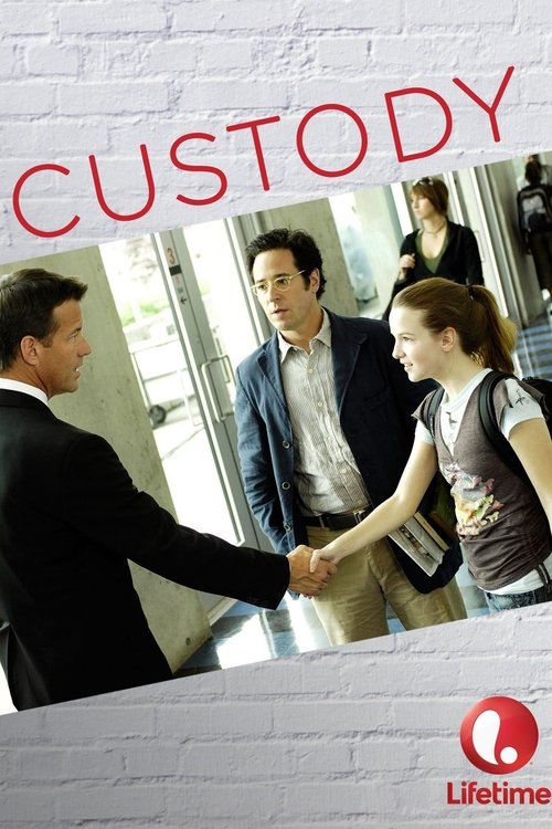 Custody (2007) poster