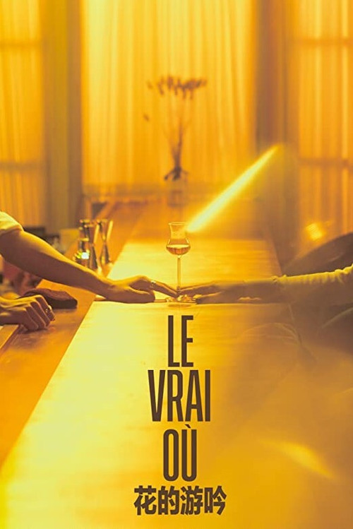 Le Vrai Où (2020) poster