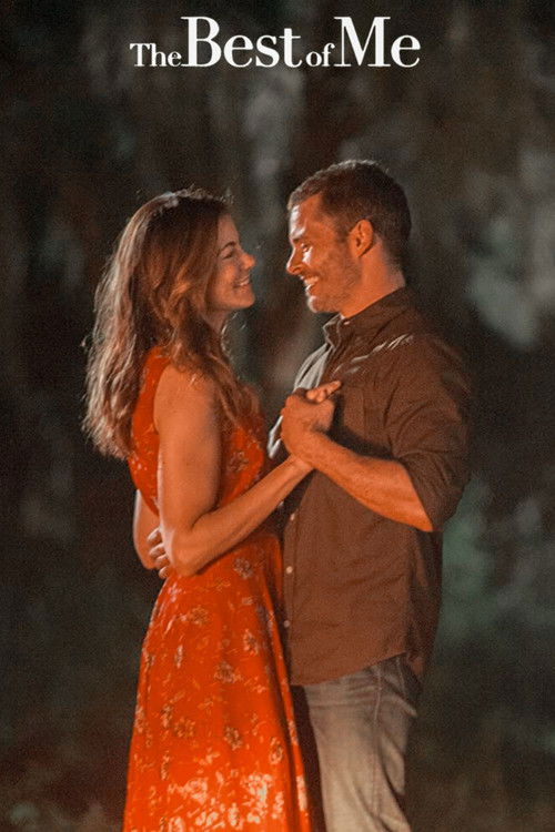 Unutulmaz Aşk (2014) poster