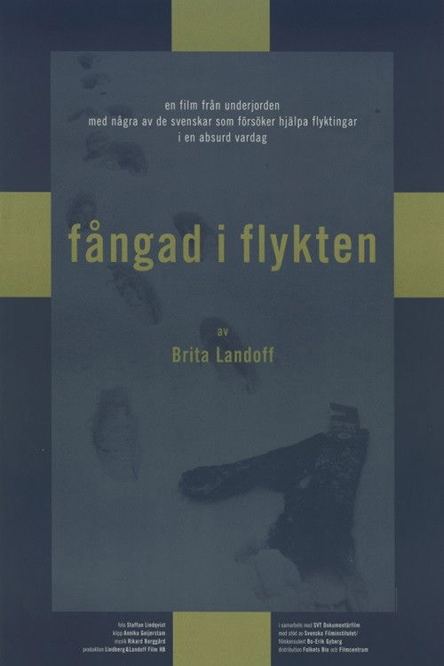Fångad i flykten (1998) poster