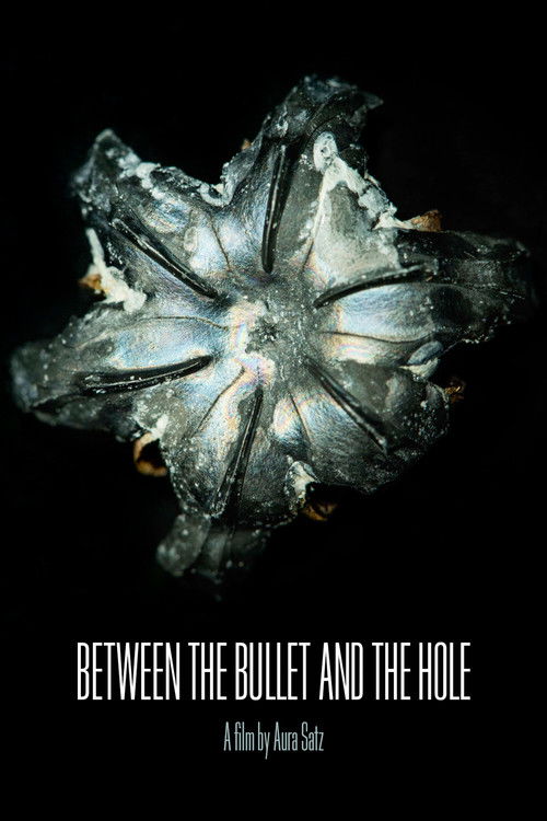 Between the Bullet and the Hole (2015) poster