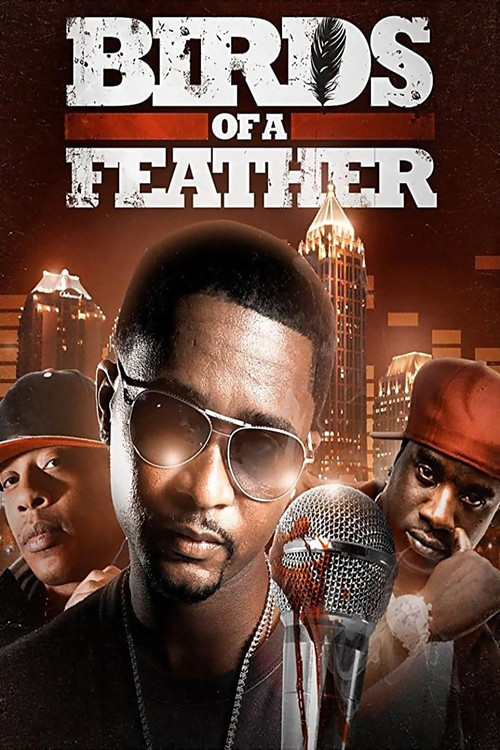 Birds of a Feather (2013) poster