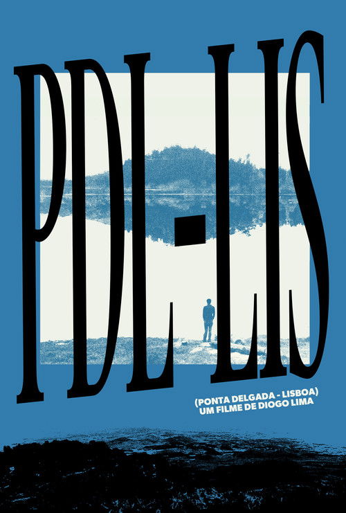 PDL-LIS (2012) poster