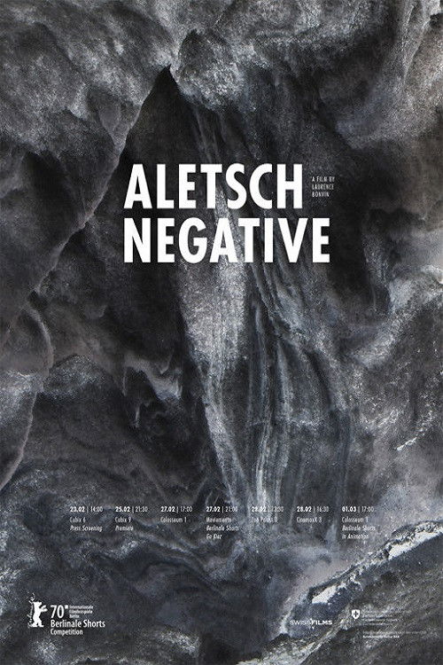 Aletsch Negative (2019) poster