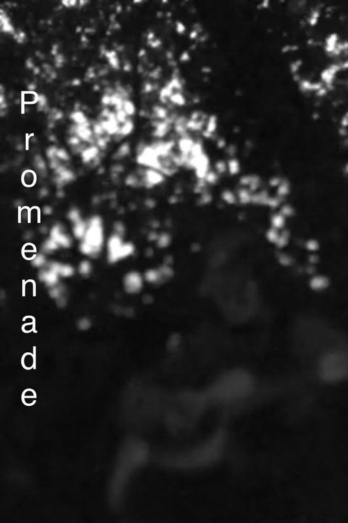 Promenade (2022) poster