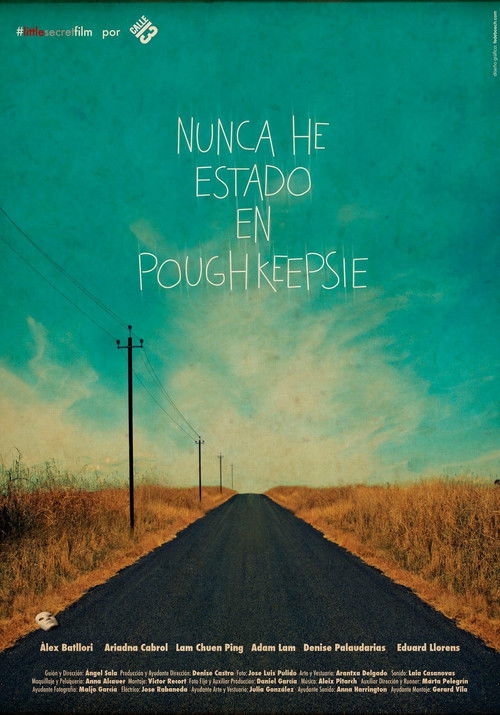Nunca he estado en Poughkeepsie (2013) poster
