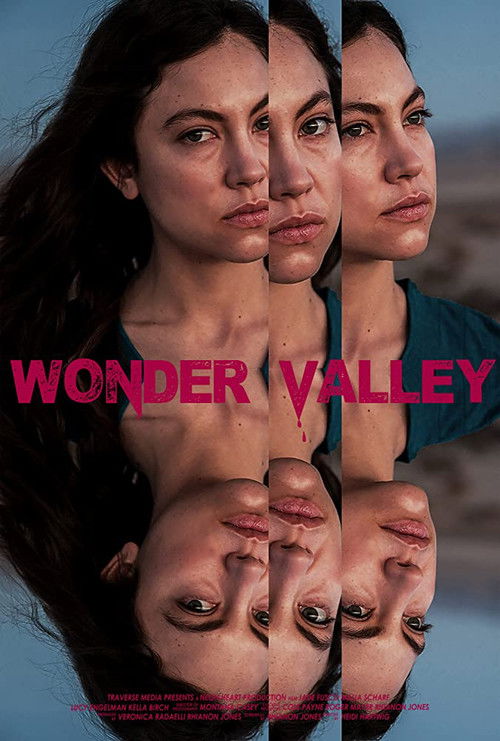 Wonder Valley (2020) poster