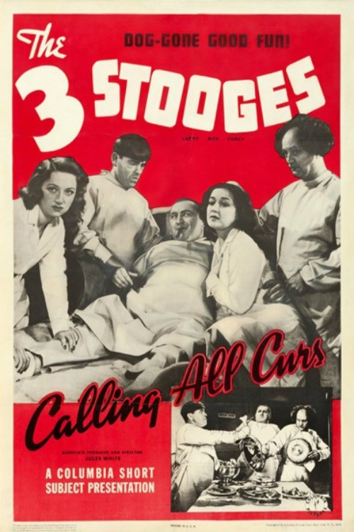 Calling All Curs (1939) poster