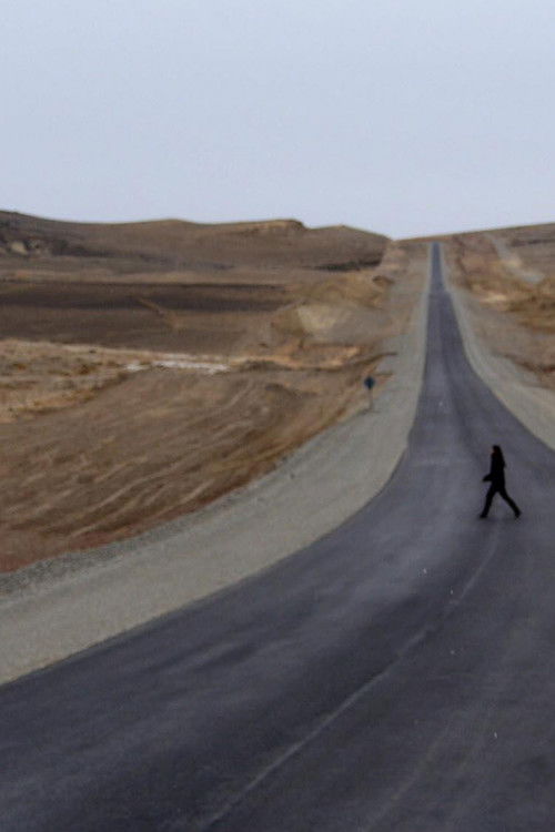 passages 4 (2014) poster