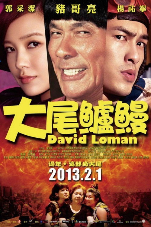 David Loman (2013) poster