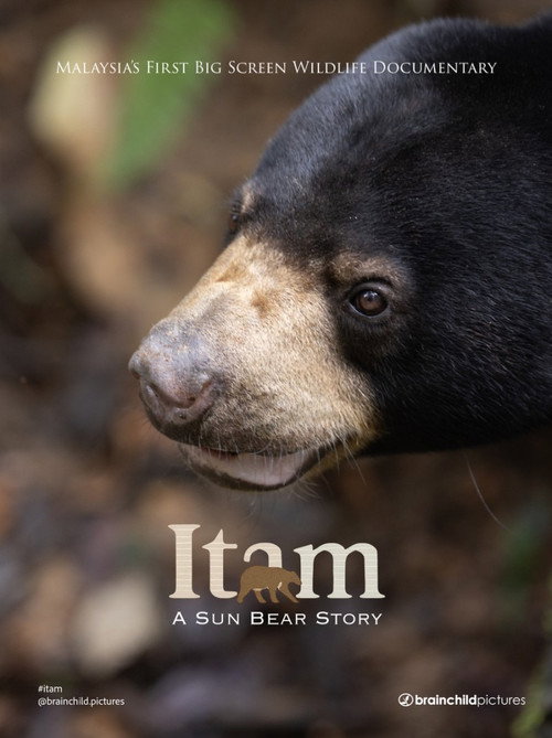 Itam: A Sun Bear Story (2026) poster