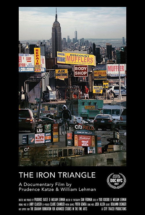 The Iron Triangle: Willets Point and the Remaking of New York (2017) poster