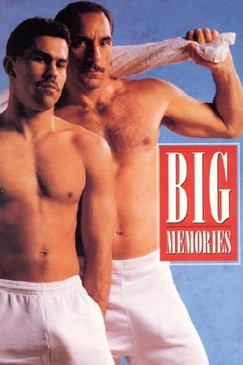 Big Memories (1990) poster