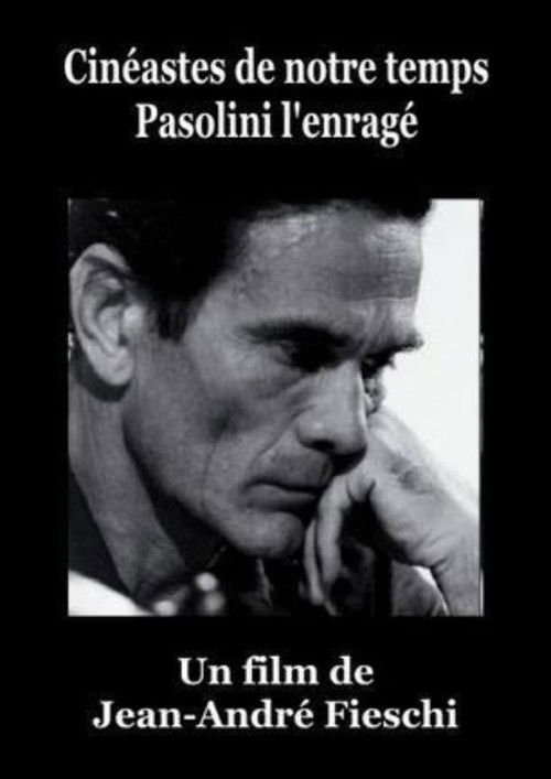 Pasolini l'Enragé (1966) poster