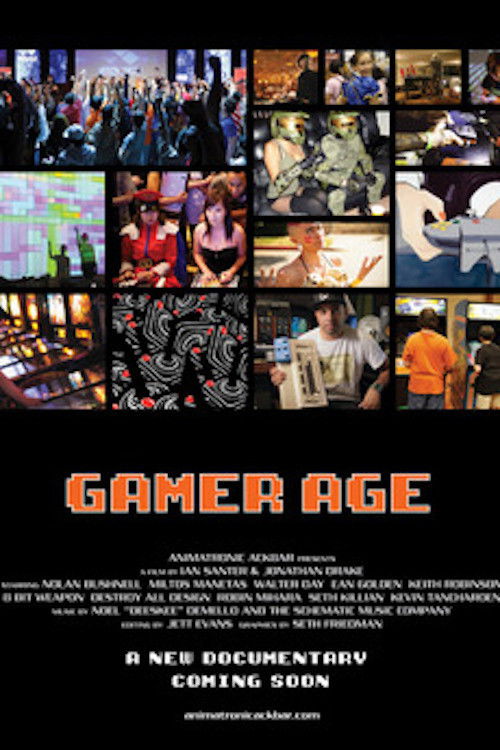 Gamer Age (2013) poster