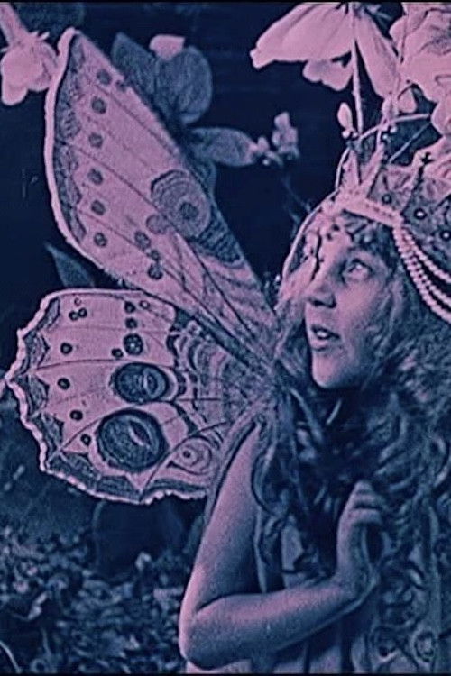 The Queen of the Butterflies (1927) poster