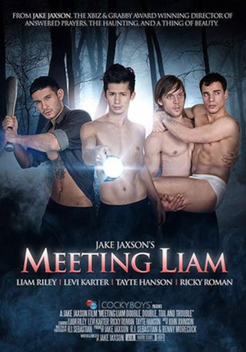 Meeting Liam (2016) poster