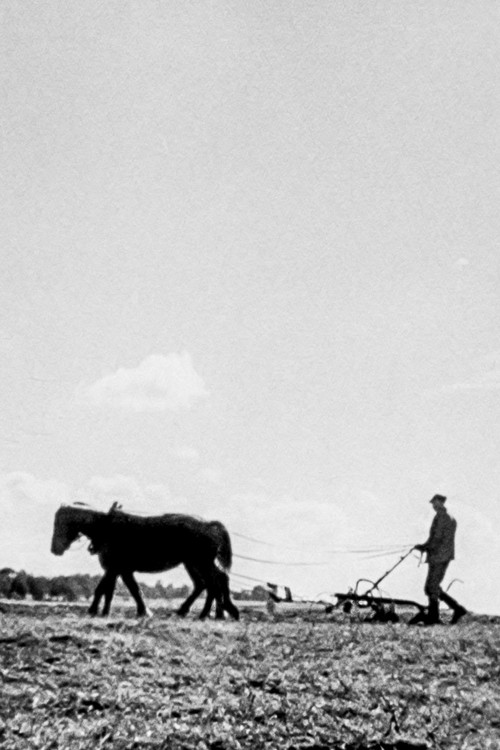 We Are Building New Villages (1946) poster