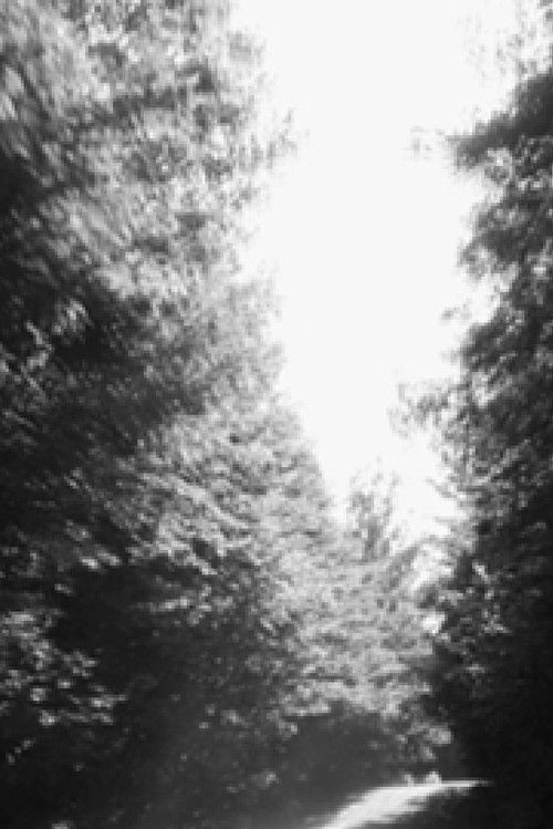 Parallel North (2012) poster