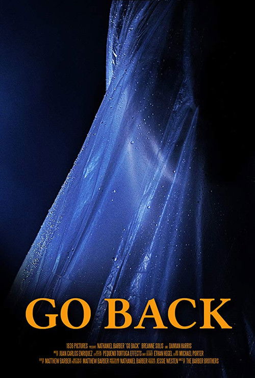 Go Back (2019) poster